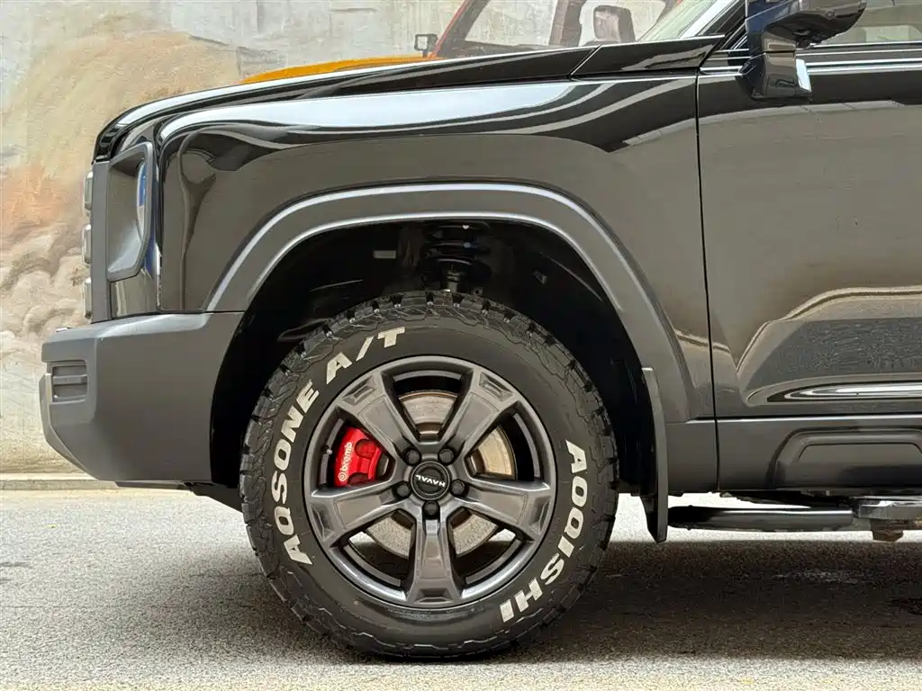 Haval Menglong New Energy 2024