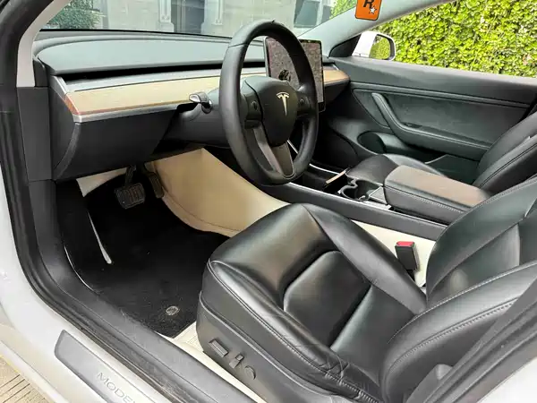 Tesla Model 3 2019