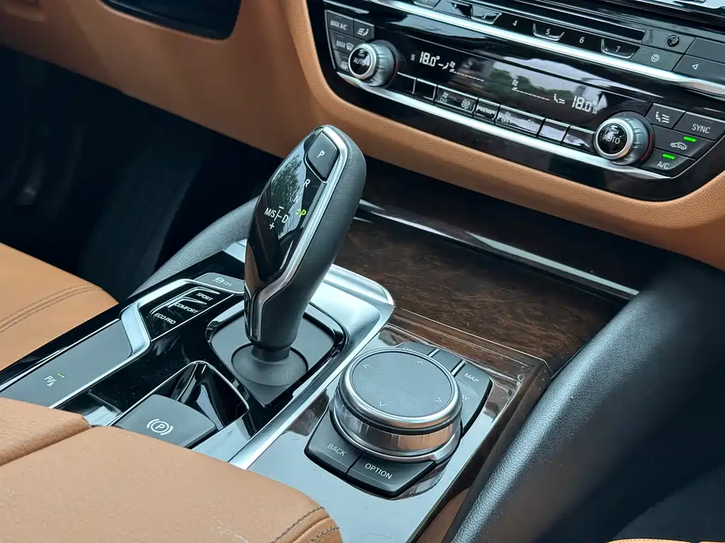 BMW 5 Series 2018 — фото 11
