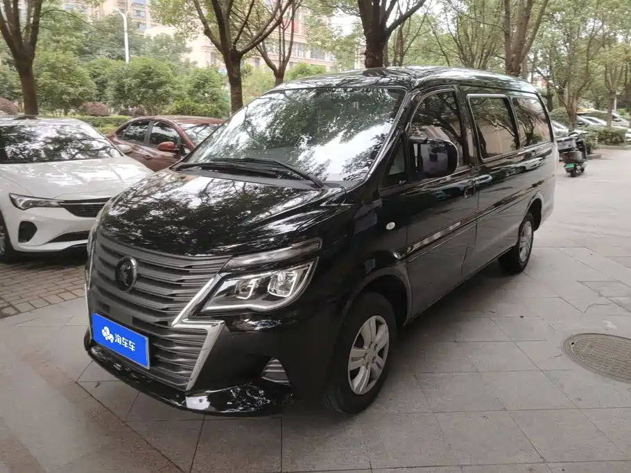 Fengxing Lingzhi 2023