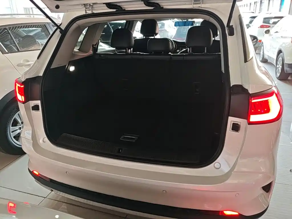 Roewe RX5 MAX 2021 — фото 19