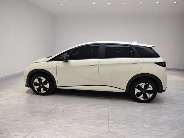 BYD Dolphin 2025