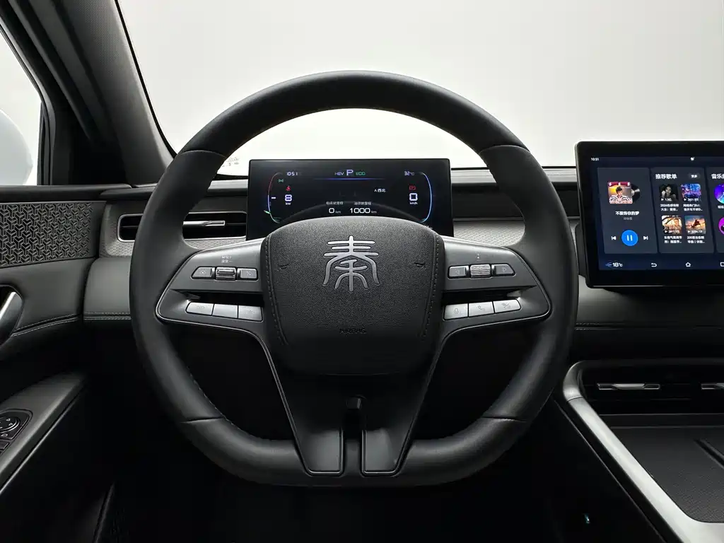BYD Qin PLUS 2025 — фото 19