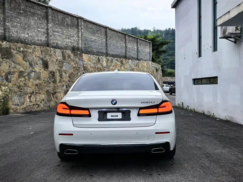 BMW 5 Series 2020 — фото 10