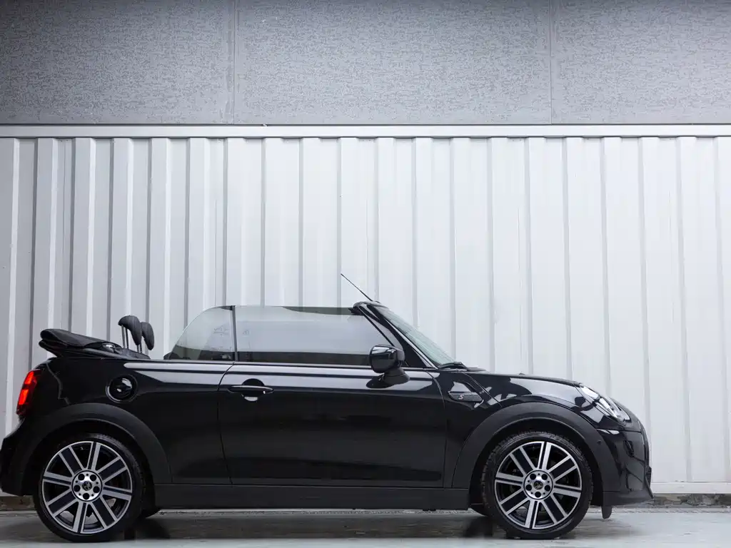 MINI MINI 2024