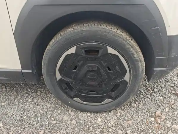 Dongfeng Nano 06 2025