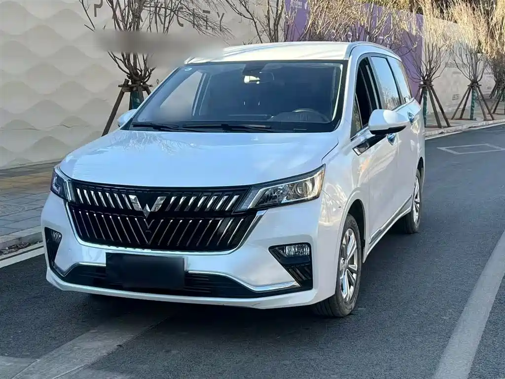 Wuling Jiachen 2024