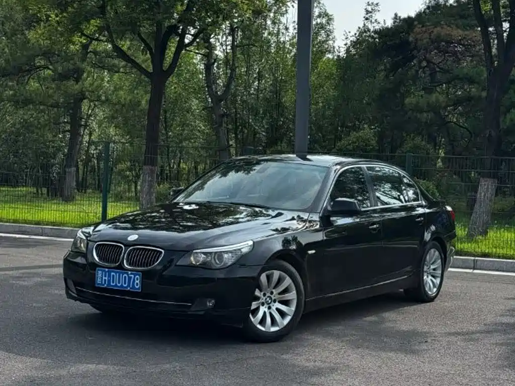 BMW 5 Series 2009
