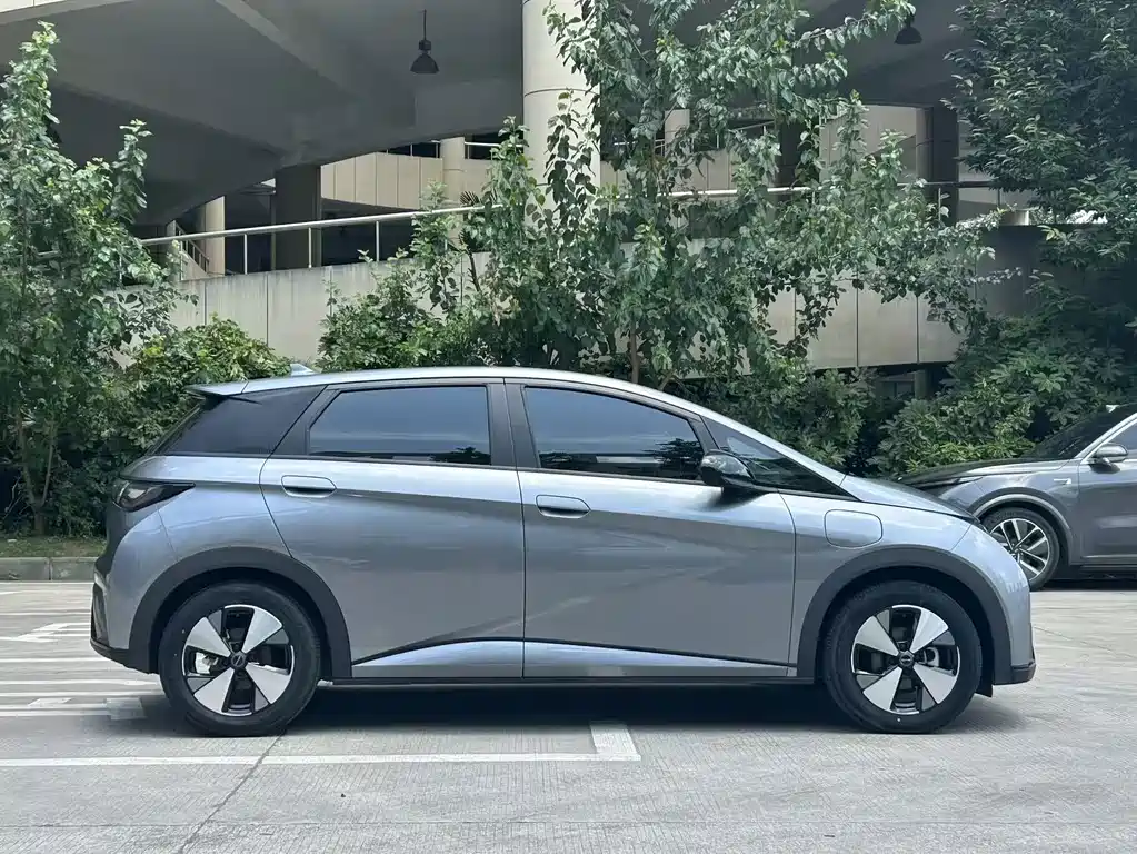 BYD Dolphin 2024