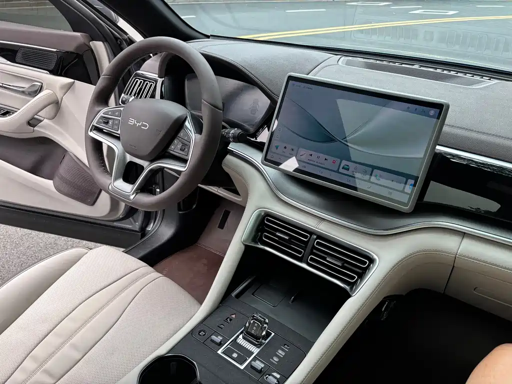 BYD PLUS New Energy 2025 — фото 24