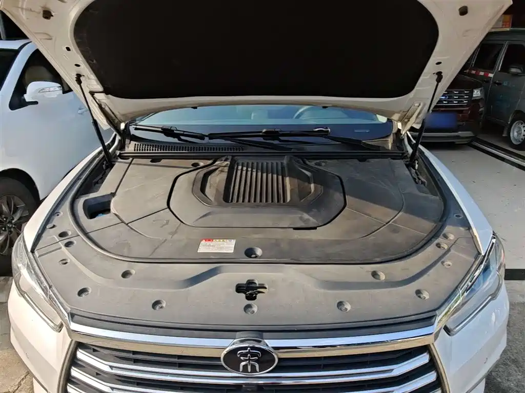 BYD Pro New Energy 2020 — фото 20