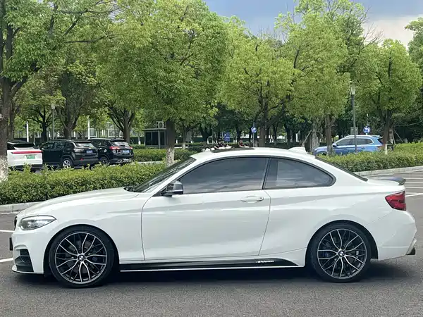 BMW 2 Series 2019
