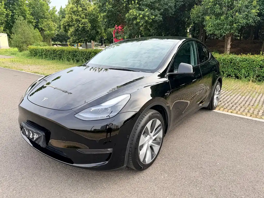 Tesla Model Y 2021 — фото 1