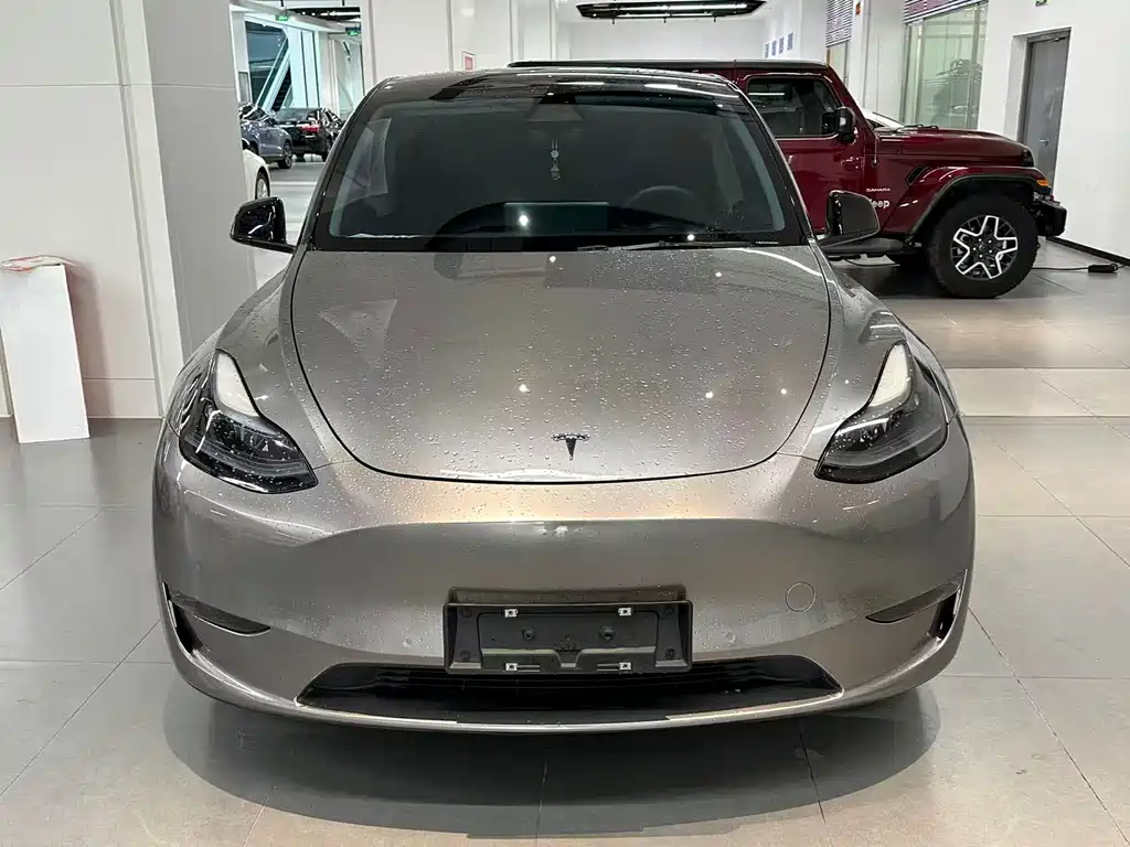 Tesla Model Y 2021 — фото 1