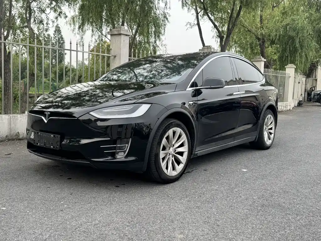 Tesla Model X 2019 — фото 1