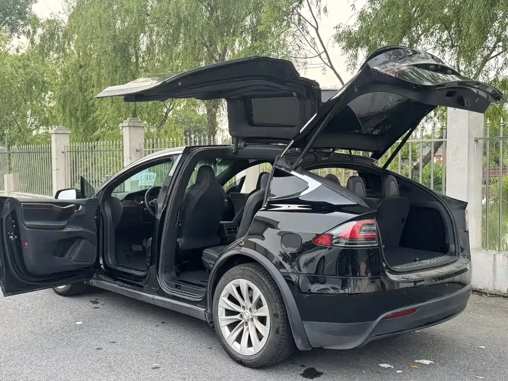Tesla Model X 2019 — фото 6