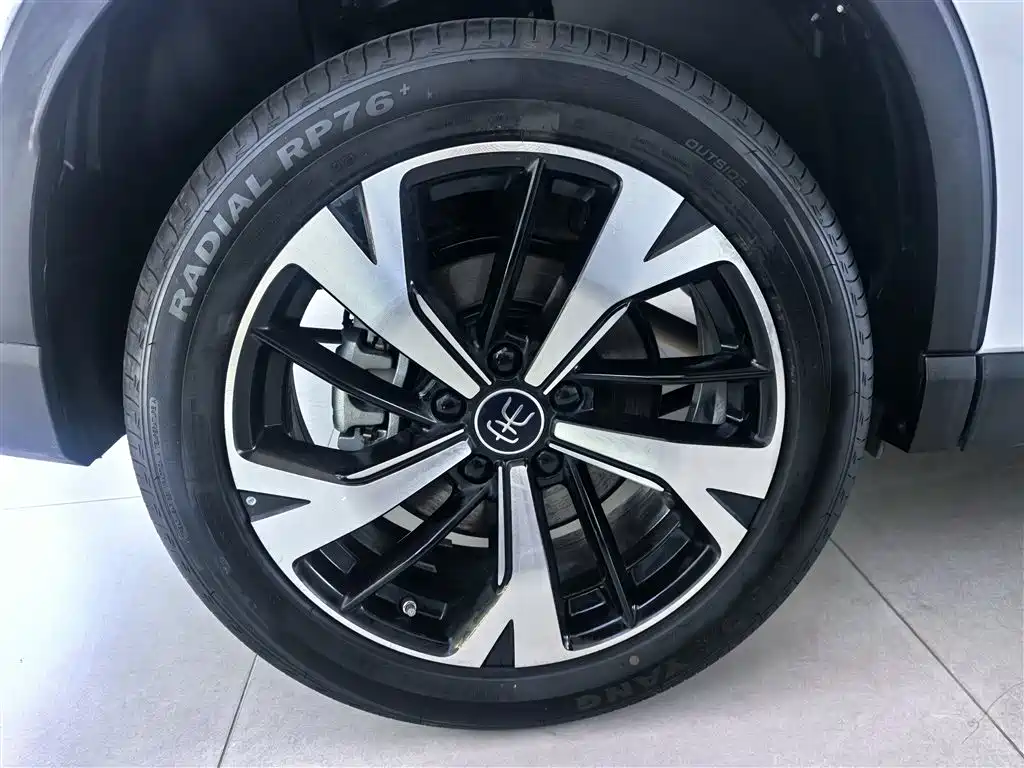 BYD Pro New Energy 2025 — фото 7
