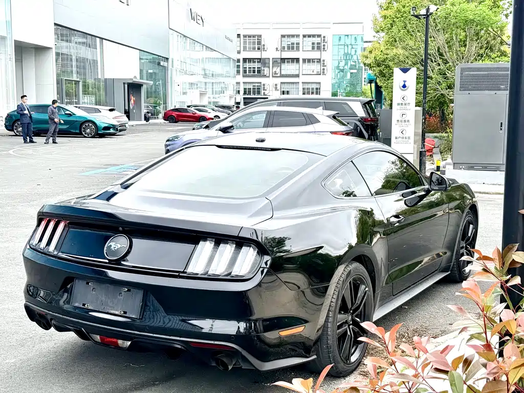 Ford Mustang 2016 — фото 13