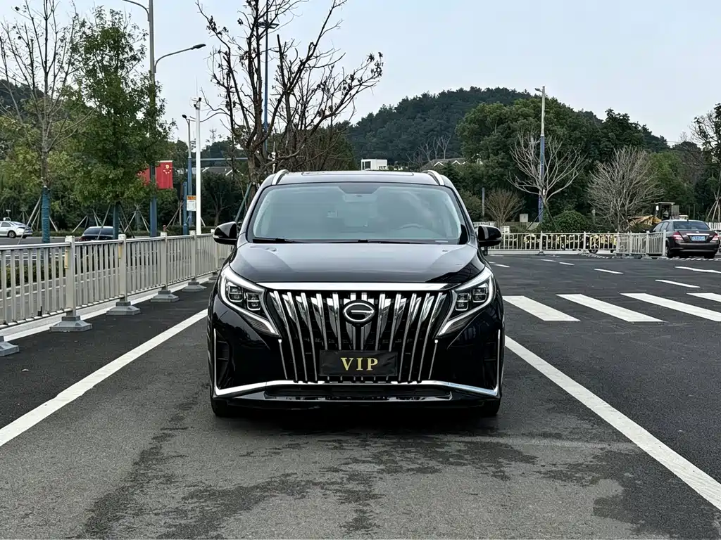GAC Motor Trumpchi M8 2021 — фото 2