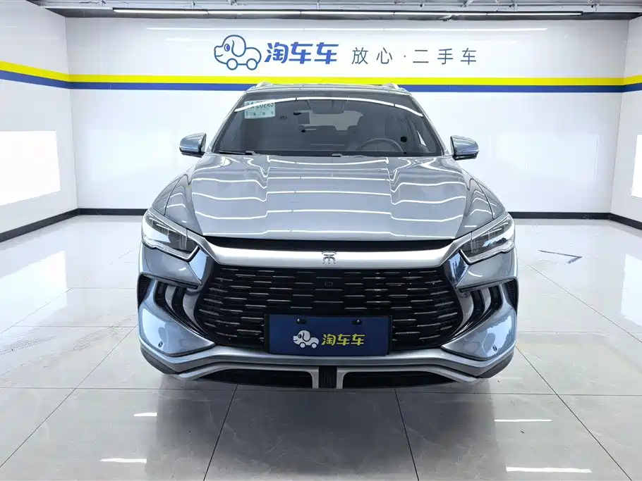 BYD Pro New Energy 2024 — фото 2