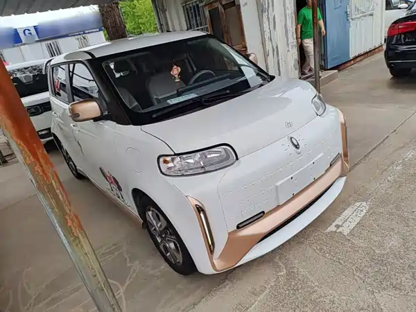 Ora White Cat 2022