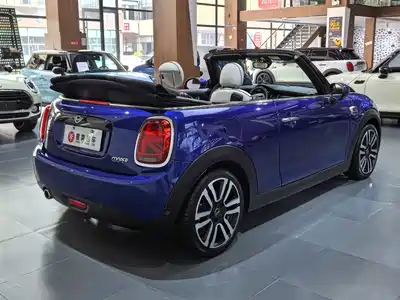 MINI MINI 2019