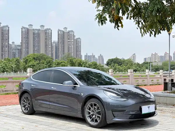 Tesla Model 3 2020
