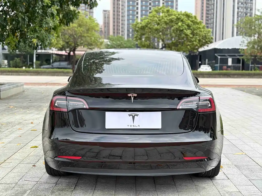 Tesla Model 3 2020 — фото 8