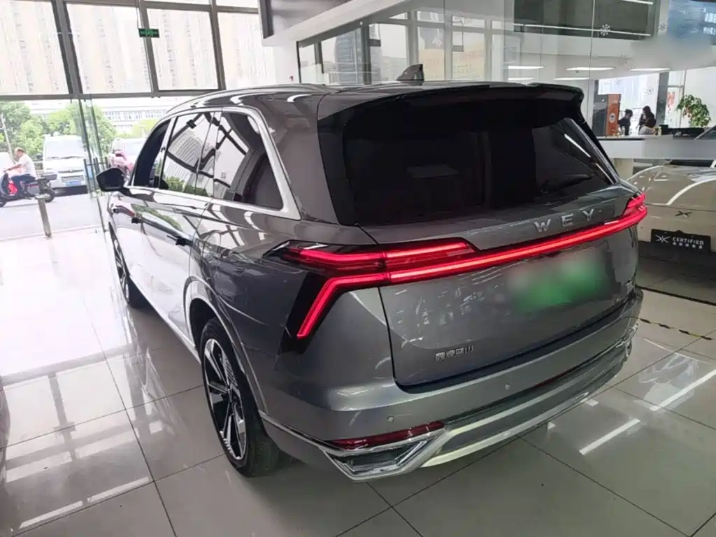 Wey Lanshan 2024