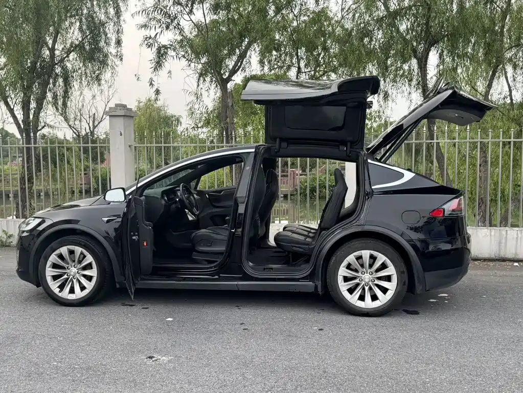 Tesla Model X 2019 — фото 8