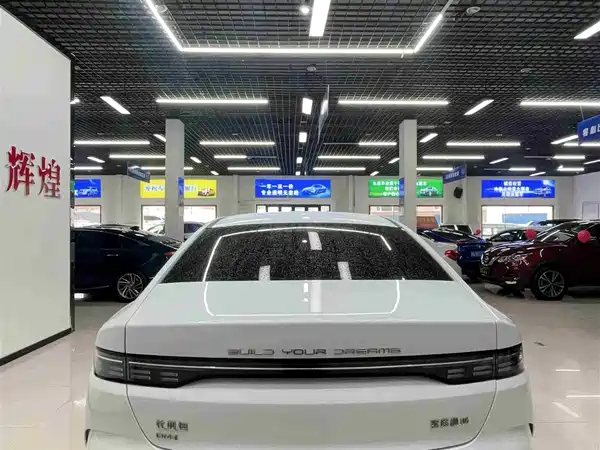 BYD Destroyer 05 2024