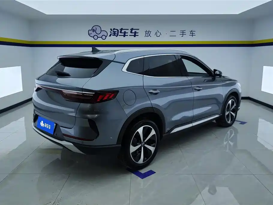 BYD PLUS New Energy 2023 — фото 3