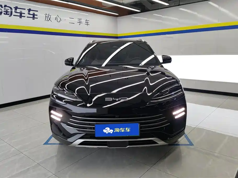 BYD PLUS New Energy 2024 — фото 2