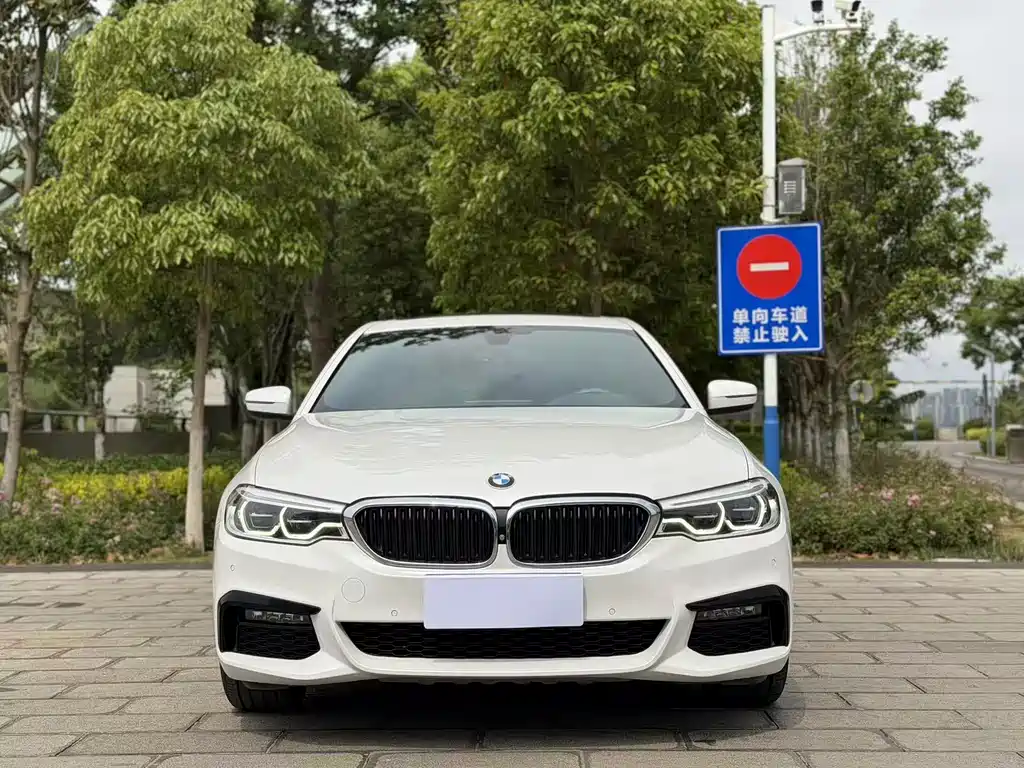 BMW 5 Series 2019 — фото 2
