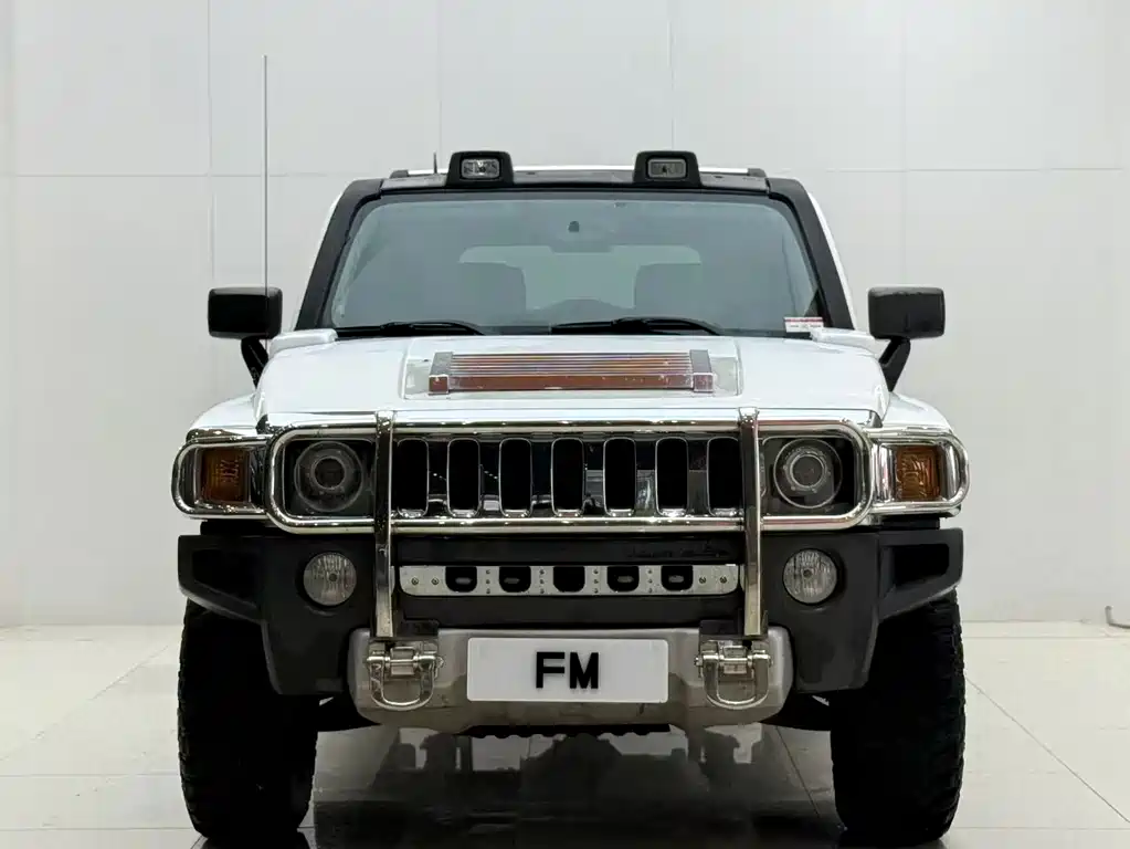 Hummer H3 2009 — фото 2