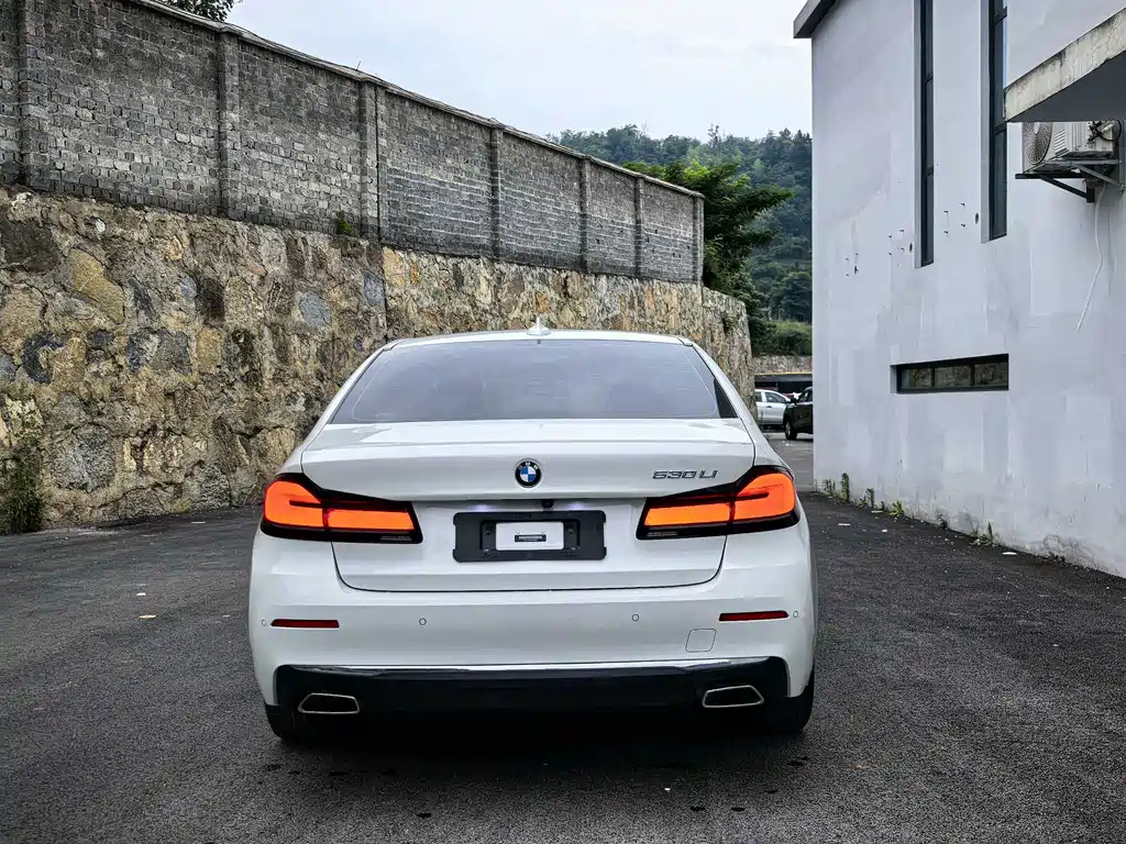 BMW 5 Series 2020 — фото 10