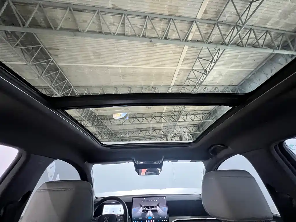 BYD Pro New Energy 2026 — фото 26