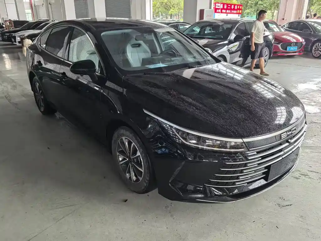 BYD Destroyer 05 2023 — фото 2