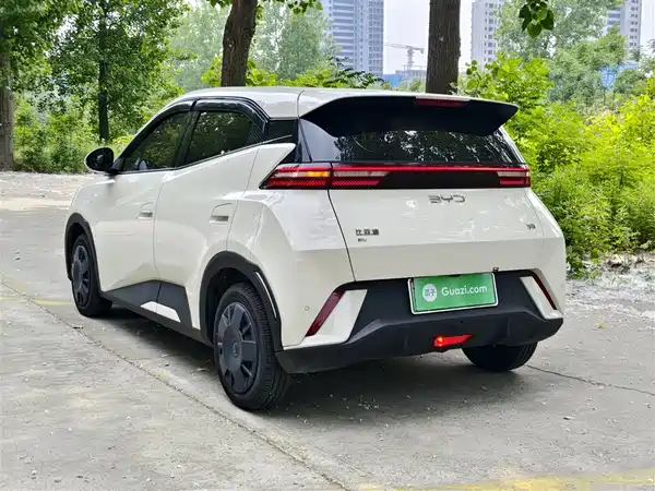 BYD Seagull 2025