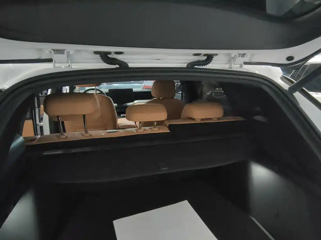 BYD L DM-i 2025 — фото 20