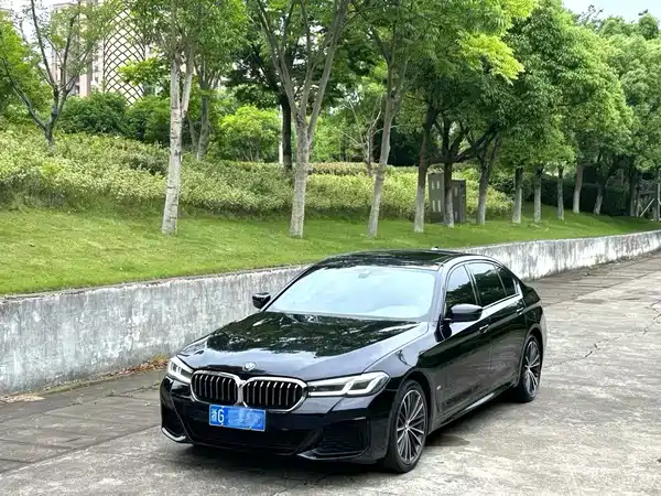 BMW 5 Series 2021