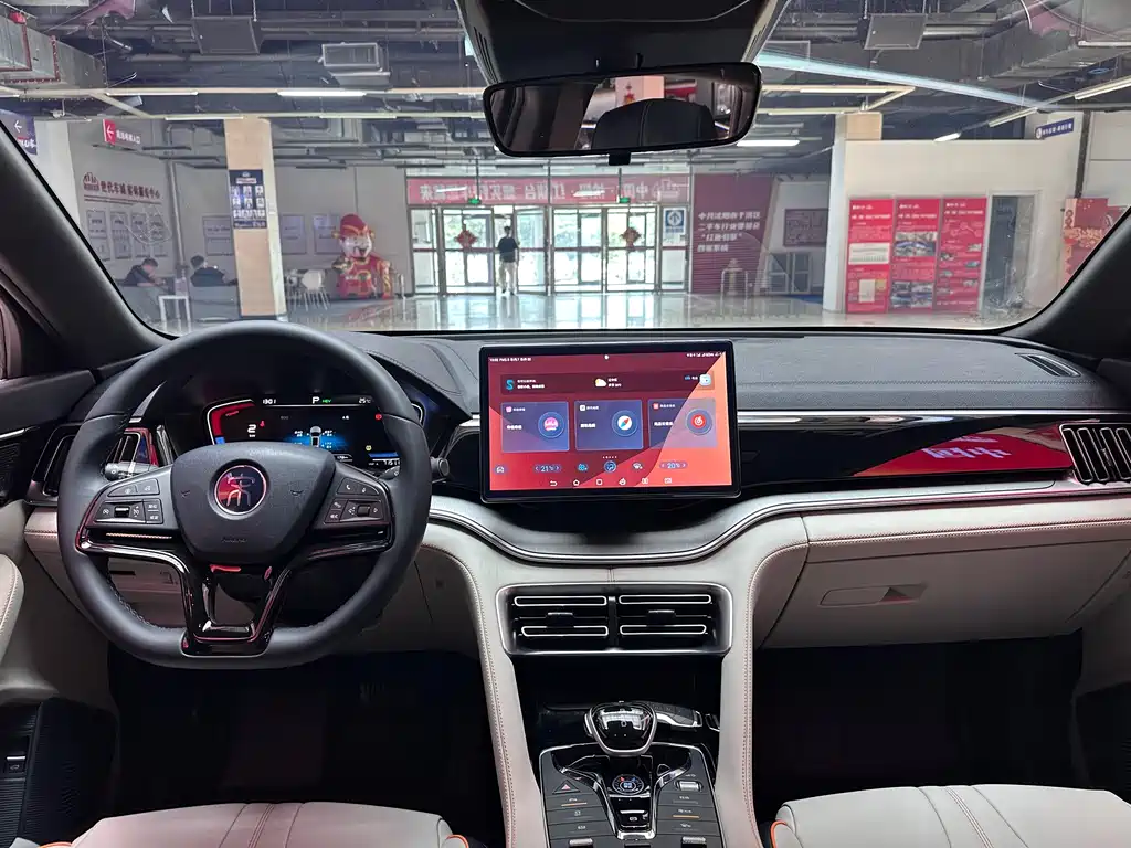 BYD Song PLUS New Energy 2022 — фото 18