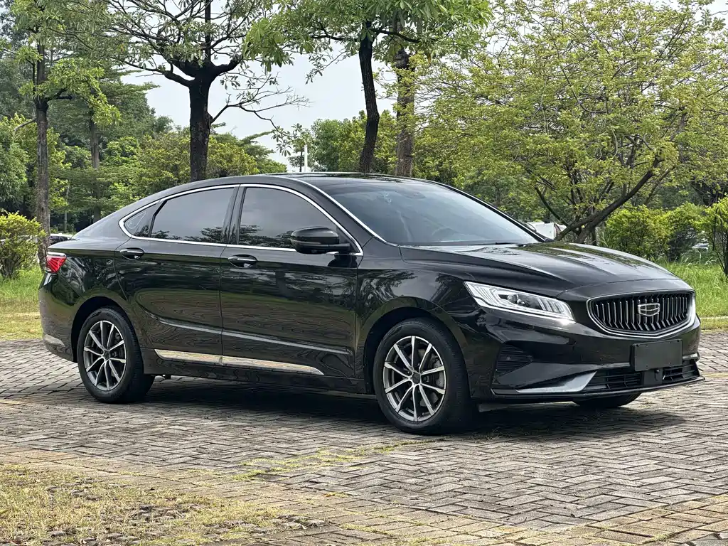 Geely Borui 2021 — фото 3