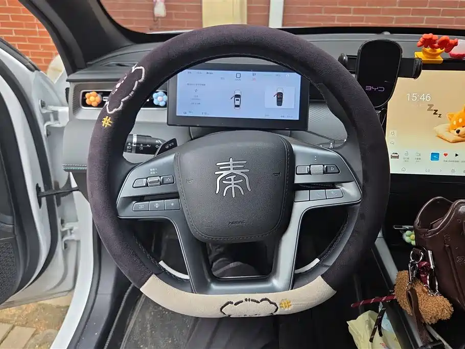 BYD Qin PLUS 2025 — фото 15