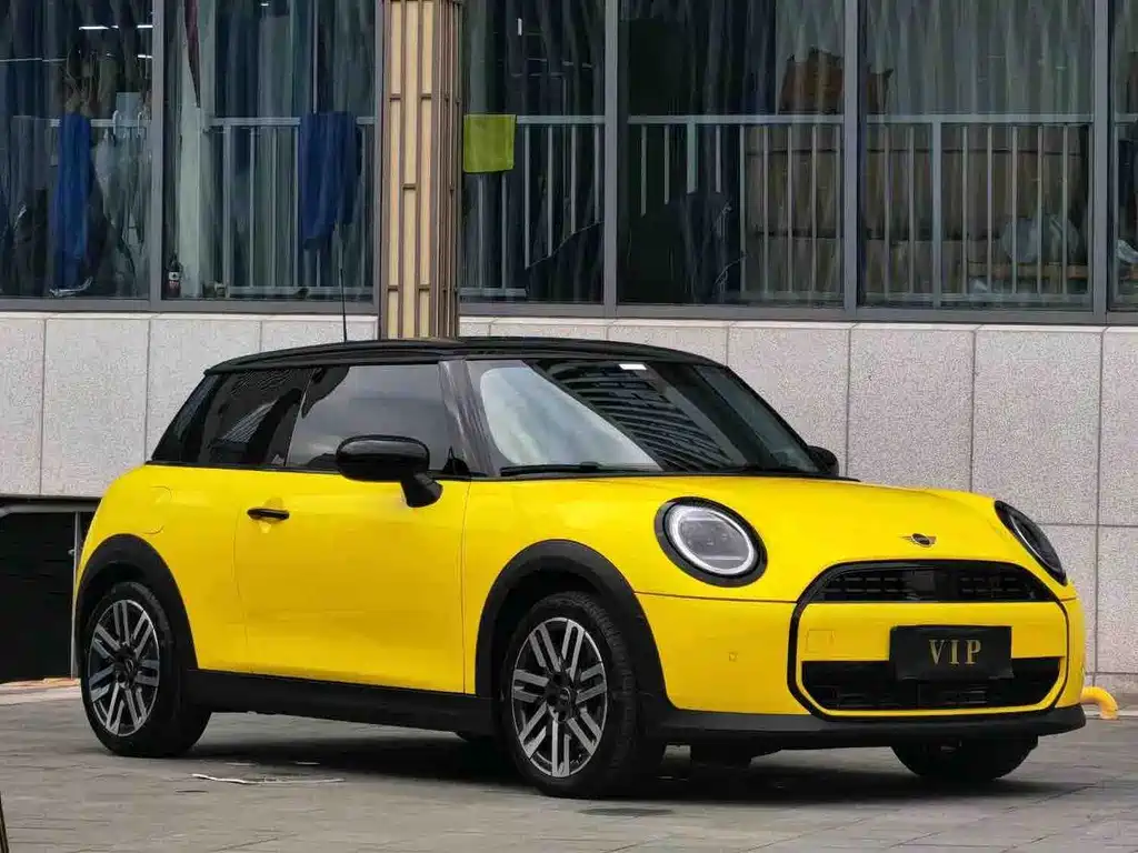MINI MINI 2025