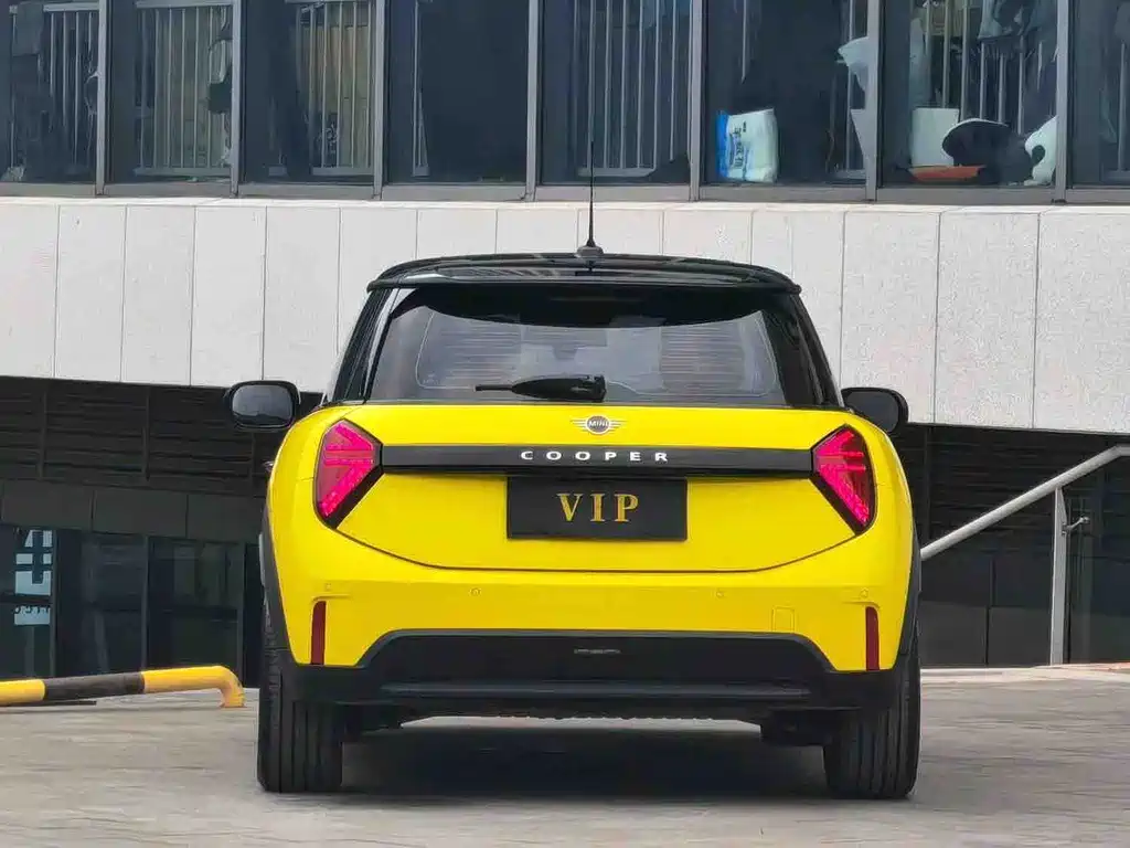 MINI MINI 2025