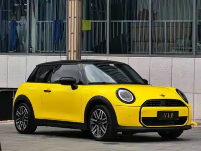 MINI MINI 2025
