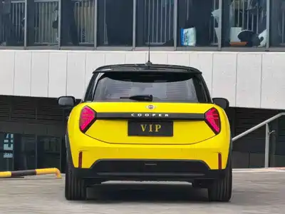 MINI MINI 2025