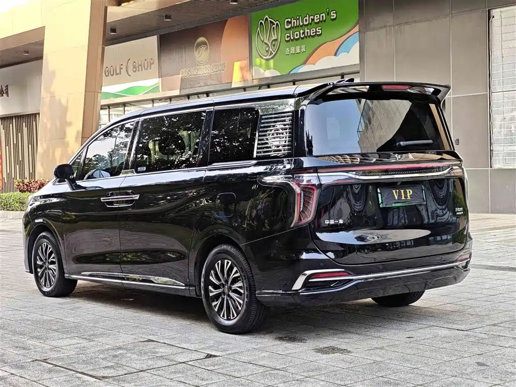 Hongqi HQ9 PHEV 2024 — фото 14