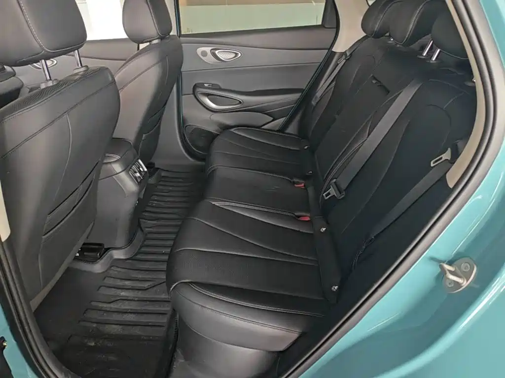 BYD Sealion 05 EV 2025 — фото 17